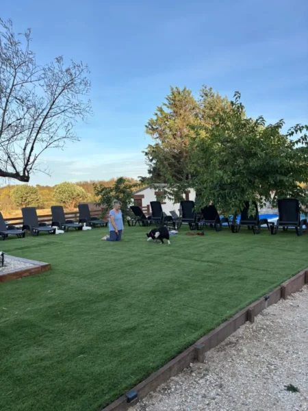 Perro jugando con su responsable en el jardín de Finca Avellaneda