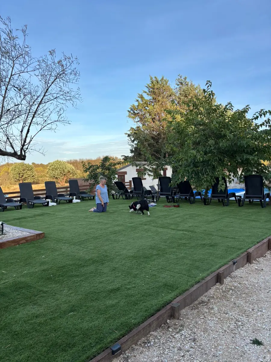 Perro jugando con su responsable en el jardín de Finca Avellaneda